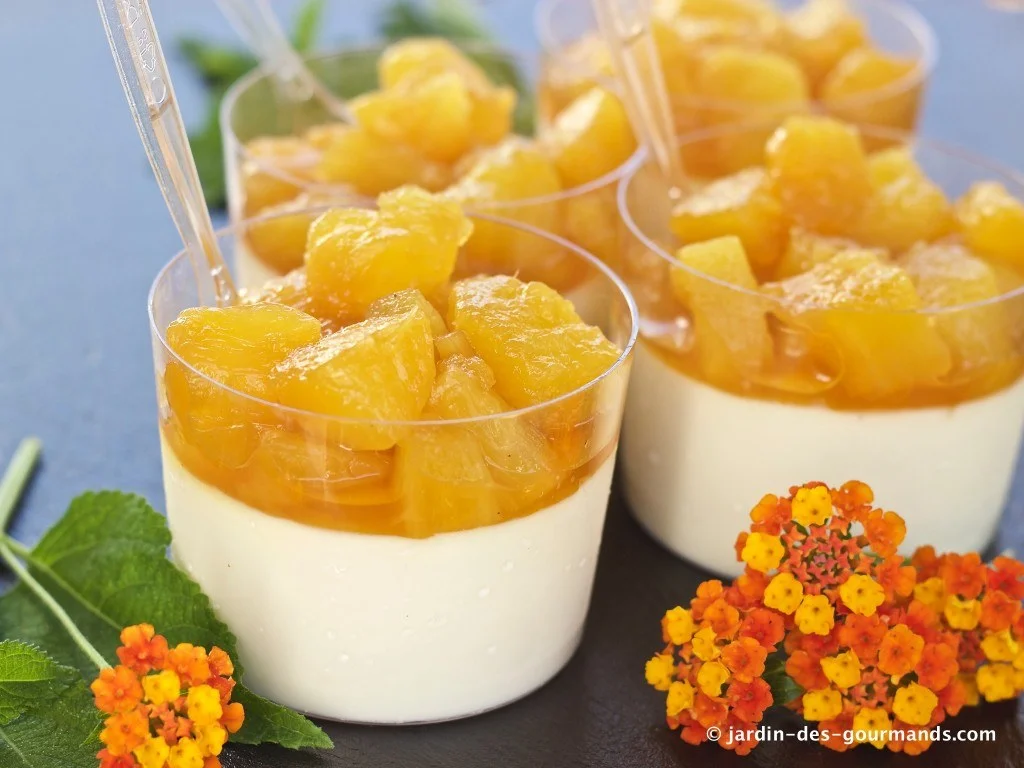 Comment préparer une délicieuse panna cotta à l’ananas pour impressionner vos invités ? Comment préparer une délicieuse panna cotta à l'ananas pour impressionner vos invités ?